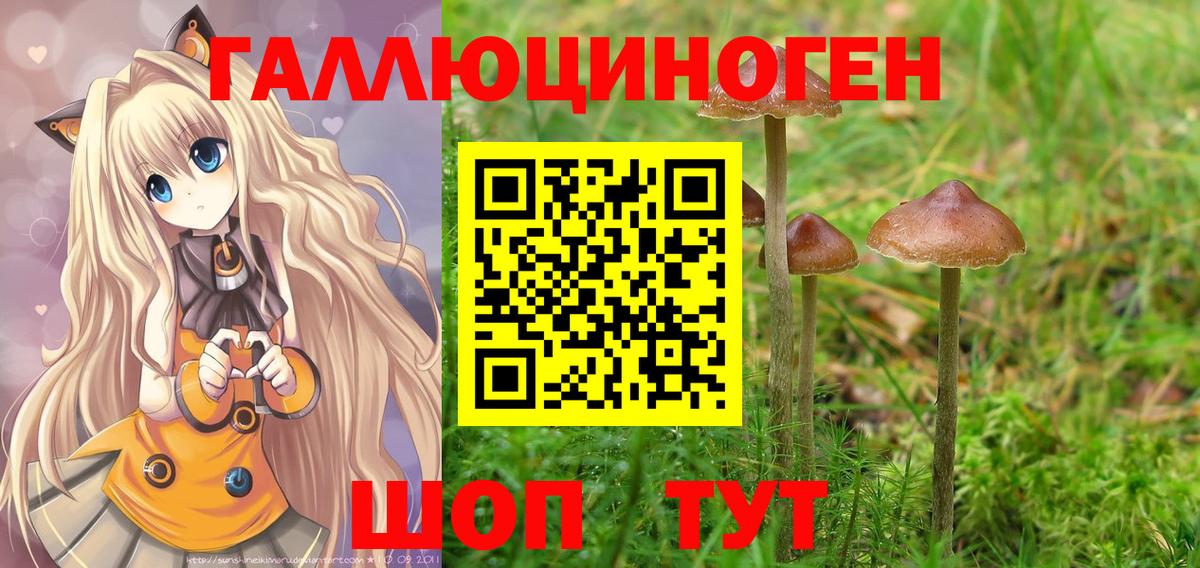 Псилоцибиновые грибы Psilocybine cubensis  Вход с VPN  Тейково  Псилоцибиновые грибы мухоморы 